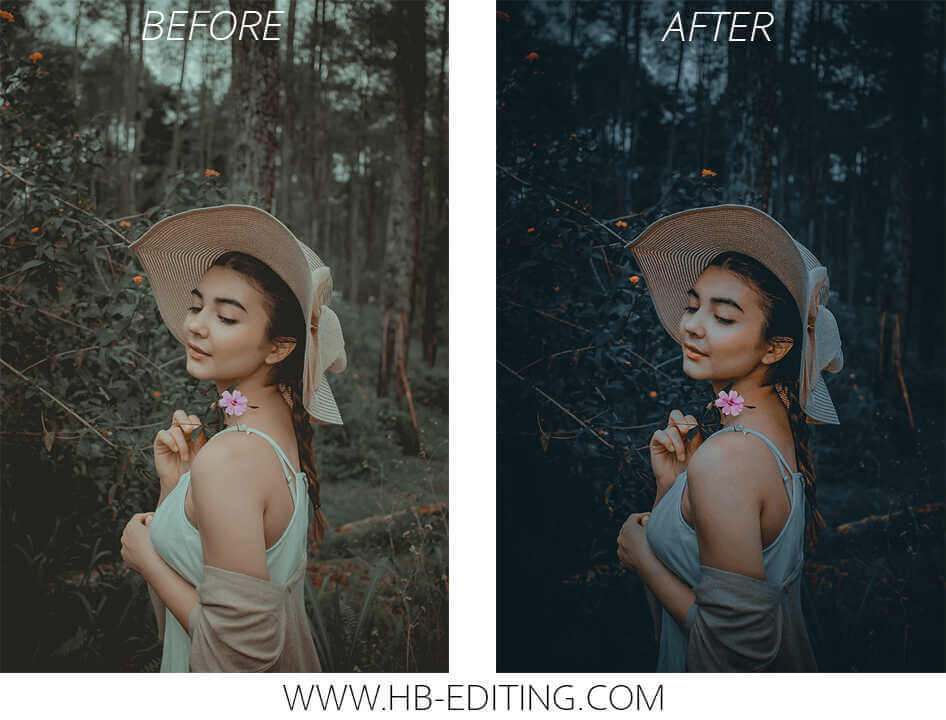 Blue Black Moody Lightroom Preset Free Download