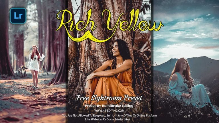 Rich Yellow Lightroom Preset Free Download