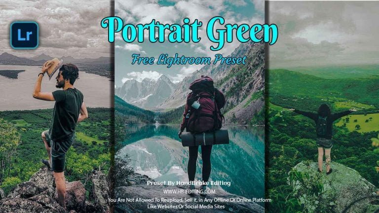 portrait Green PRESET Lightroom Mobile