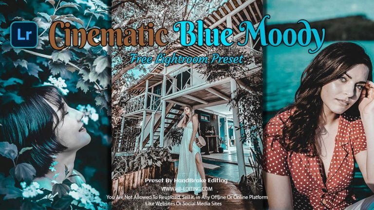 Cinematic Blue Moody Preset