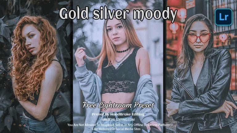 Gold silver moody Lightroom Preset Free Download