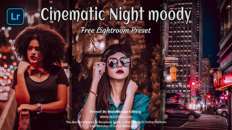 Cinematic Night Moody Lightroom Preset Free Download