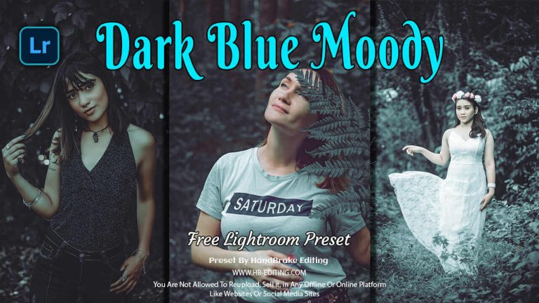 Dark Blue Moody Lightroom Preset Free Download