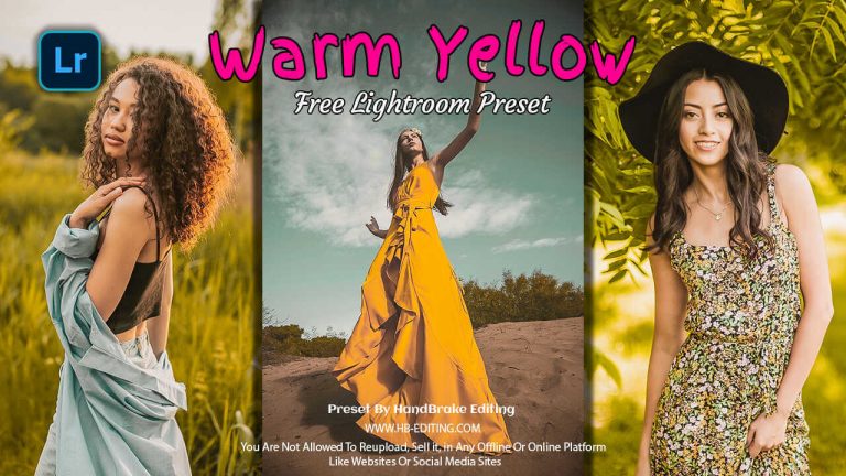 Warm Yellow Lightroom Preset Free Download