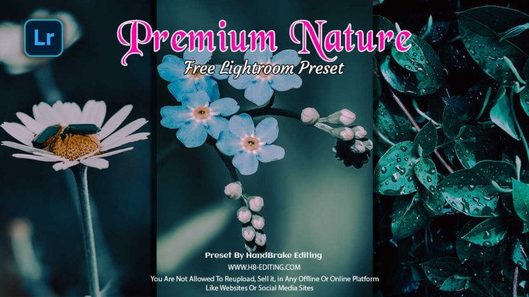 Premium Nature Lightroom Preset Free Download