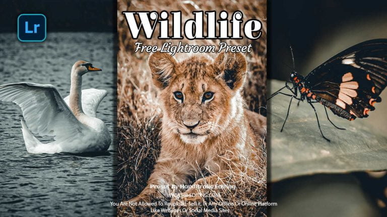 Wildlife Lightroom Preset Free Download