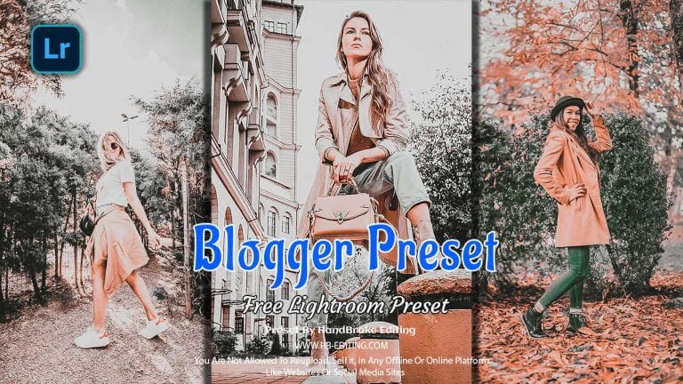 Blogger Lightroom Preset Free Download